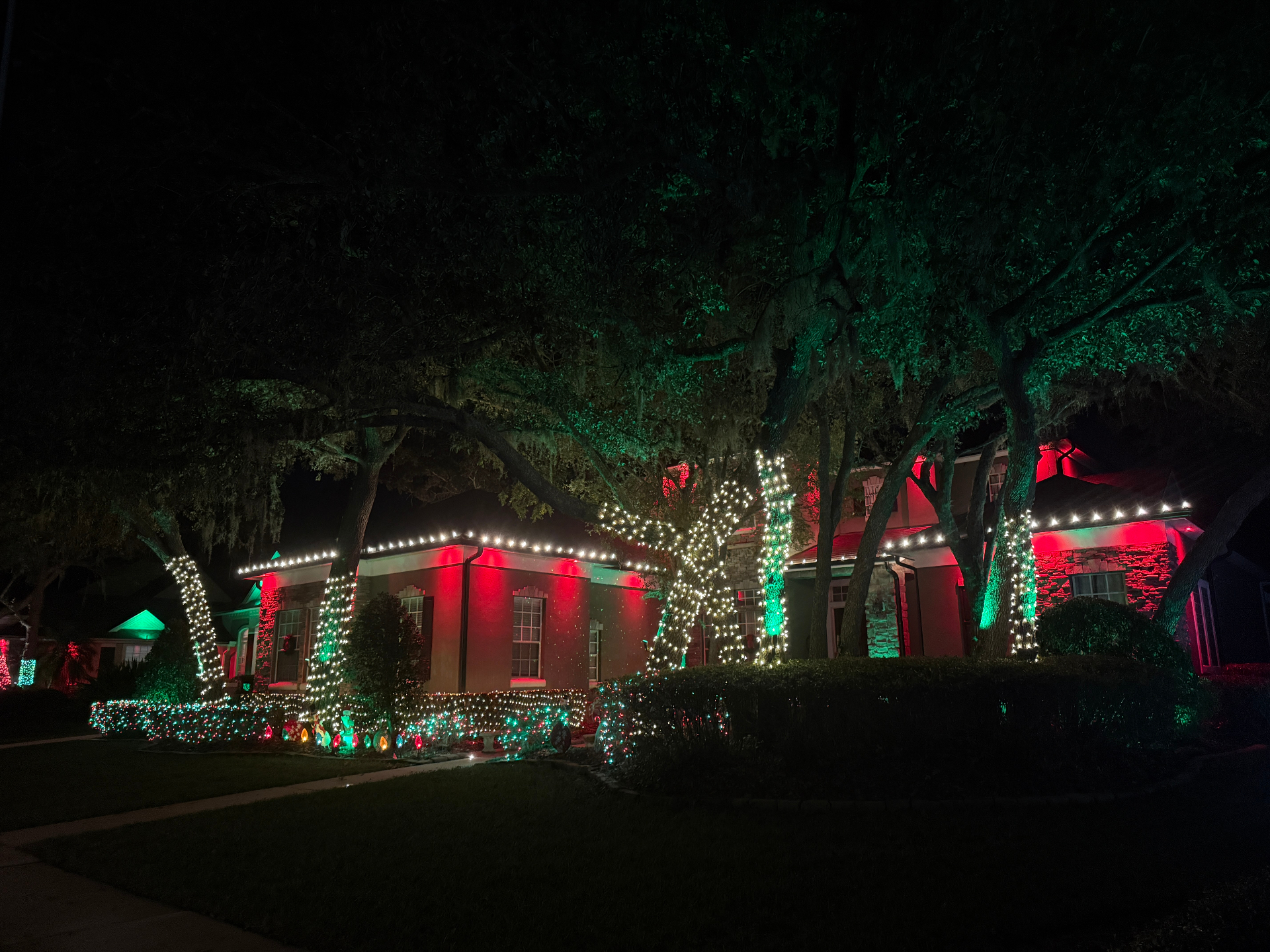 Residential property washed in red and green holiday lighting with wrapped trees and shrubs