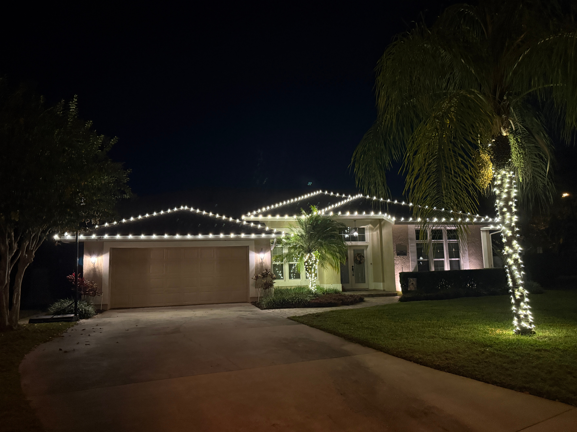 Single-story home outlined with warm white holiday roofline lighting and wrapped palms
