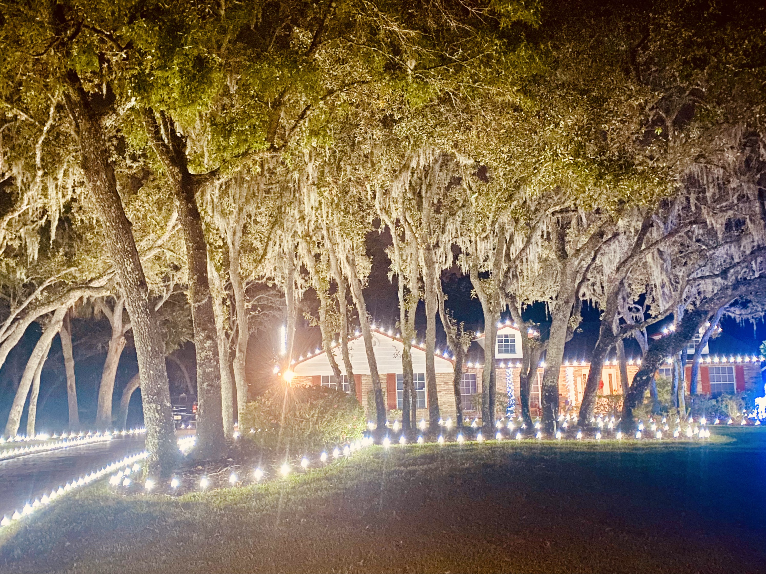 Long oak-lined driveway lit with rows of white pathway stake lights leading to a home