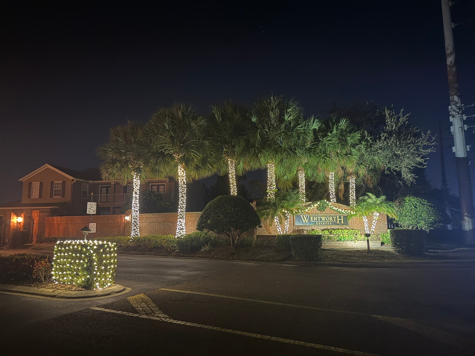 Wentworth Estates entrance with palm trees wrapped in warm white lights and an illuminated topiary display