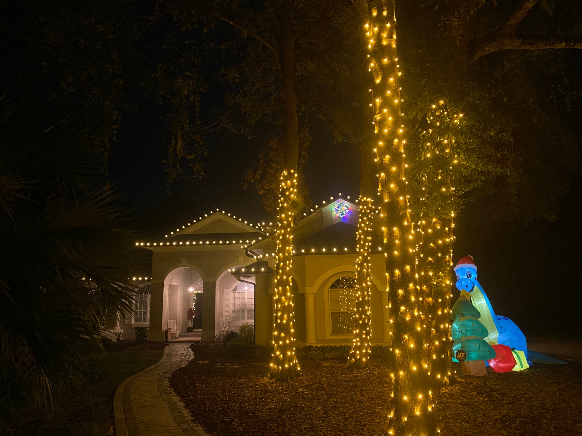 Front yard with palm trees fully wrapped in warm white lights and a holiday inflatable